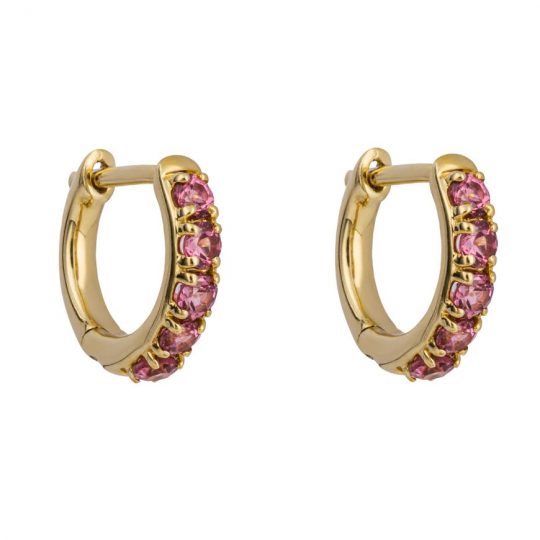 Gecko 9ct Yellow Gold Rhodolite Garnet Huggie Hoop Earrings