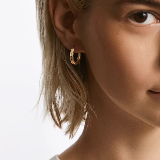 Anna Beck Classic Hinge Reversible Hoop Earrings